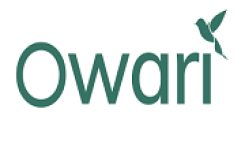 Pack Ventre Plat À partir de 61,67€