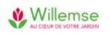 Willemse